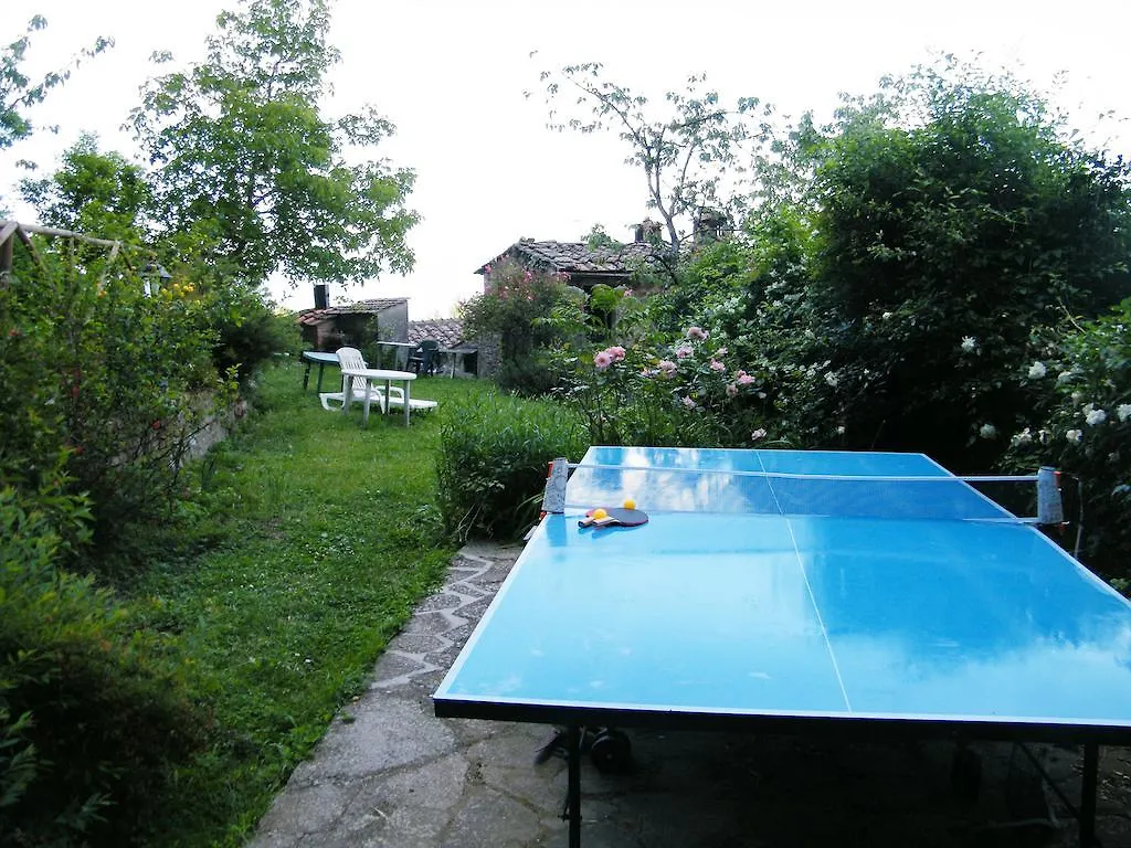 Authentic Chianti Stonehouse With Garden&Terrace Apartment Greve in Chianti