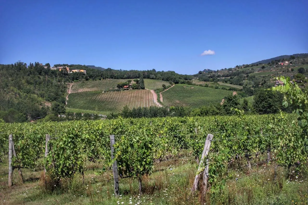 Authentic Chianti Stonehouse With Garden&Terrace Apartment Greve in Chianti